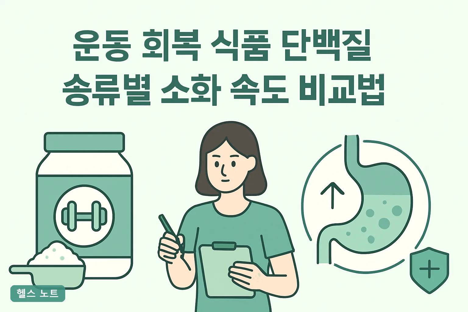 운동 회복 식품 단백질 종류별 소화 속도 비교법 2026년 흡수 시간표와 운동 후 섭취 타이밍 5단계